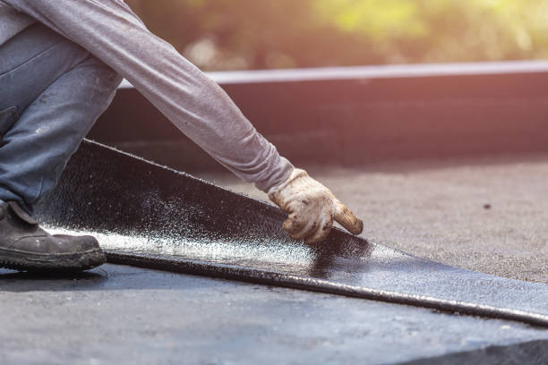 Professional Basement Waterproofing technician working in Rogersville, TN